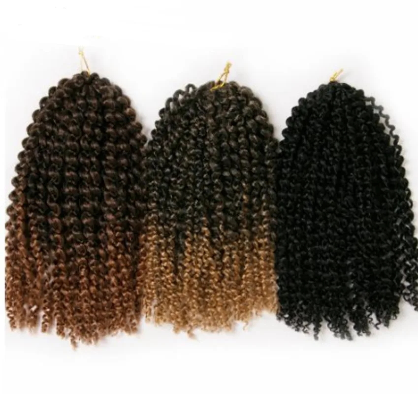 African wig short curly hair