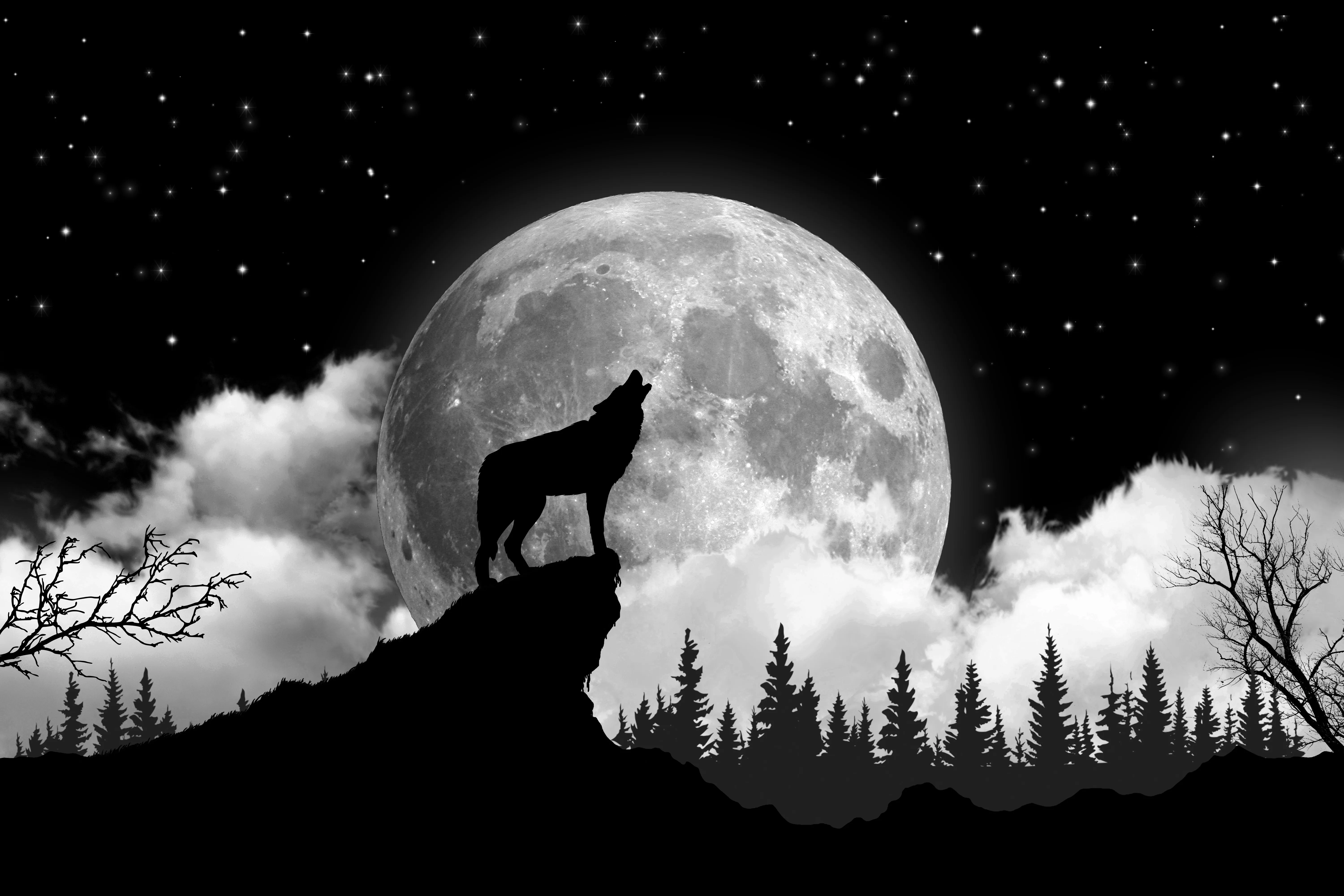 Wolf on the moon pattern tapestry