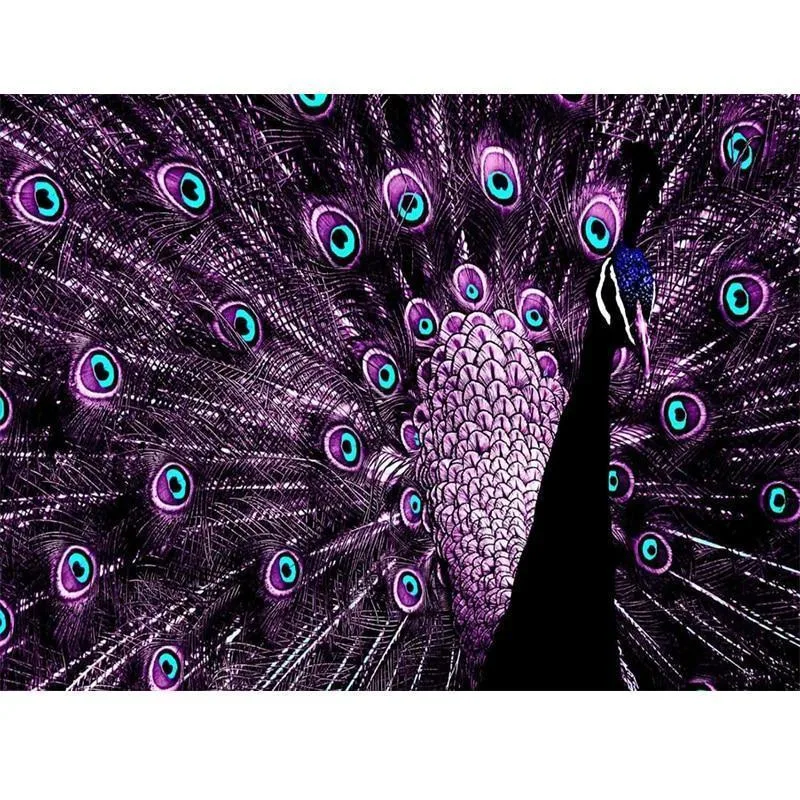 5D Diamond Painting - Pfau Schne Flgel