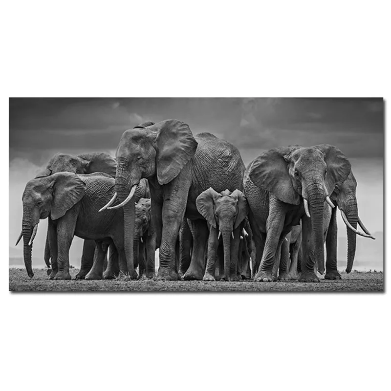 Modern Elephant Canvas Animal Poster And Print Black And White Wall Picture
