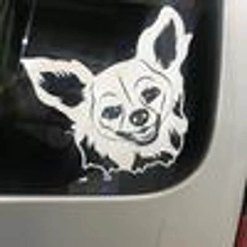 Custom Pet Car Decal Sticker