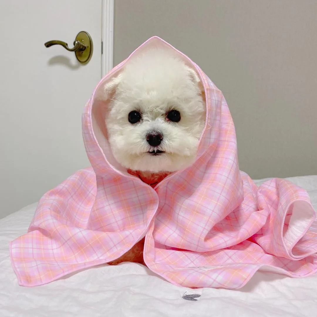 Check Cotton Double-layer Cotton Yarn Pet Blanket