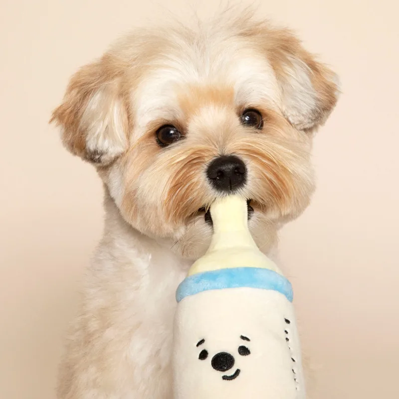 New Pacifier Bottle Rattle Pet Toy Set