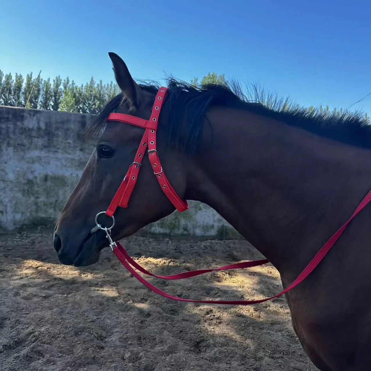 Horse Halter Rope Riding Hose Bridle Fiber