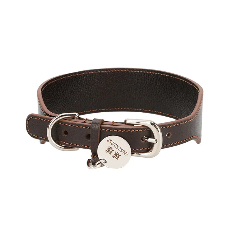 Puppy Collar Necklace Towing Rope Portable