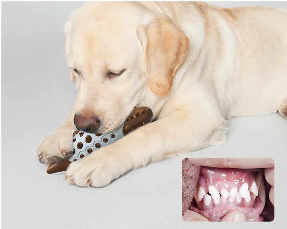 Dog Toy Leaking Ball Molar Teeth Cleaning