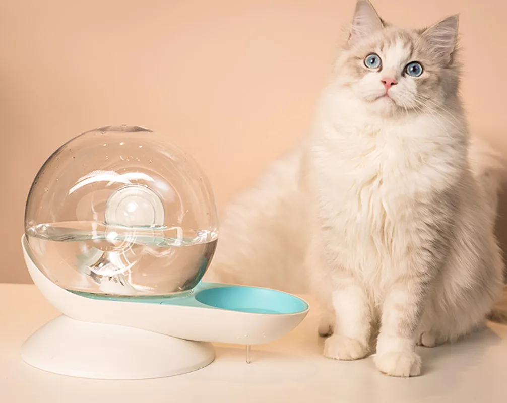 Cat drinking fountain filtering automatic drinking fountain