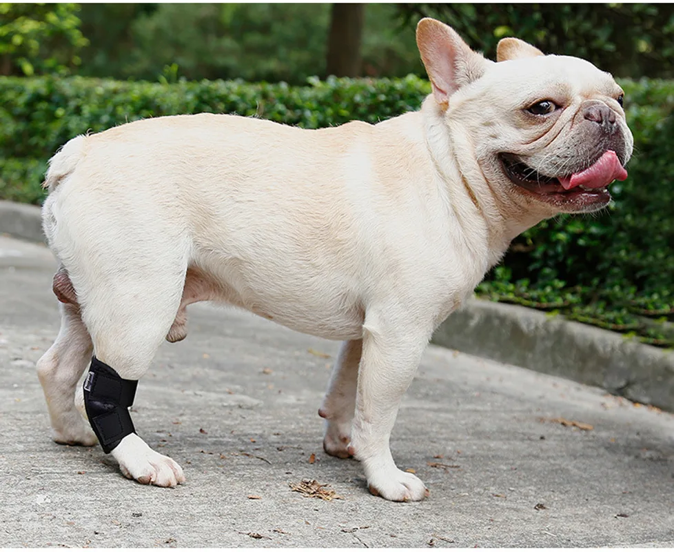 Dog Injured Anti-lick Joint Fixation And Recovery Auxiliary Strap