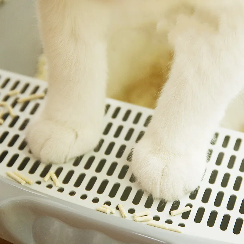 Baby Cat Deodorant Excrement Basin Sand Basin