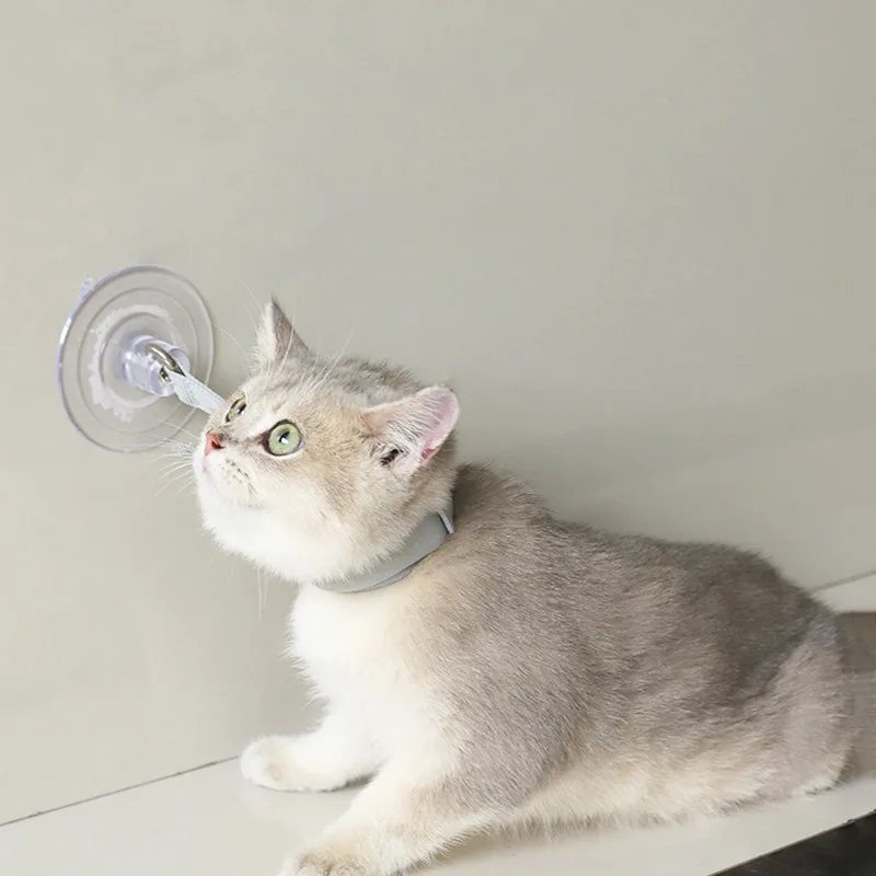 Cats Collar Bathing Fixed Suction Cup Puppy Bath Neck Collars Accessories Professional Kittens Necklaces Portable Pet Products