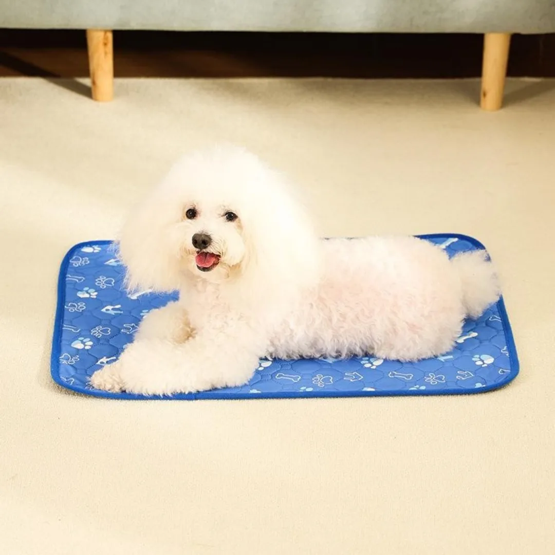 Breathable Absorbent Dog Training Pads Are Machine-washable Non-slip And Designed To Prevent Accidents