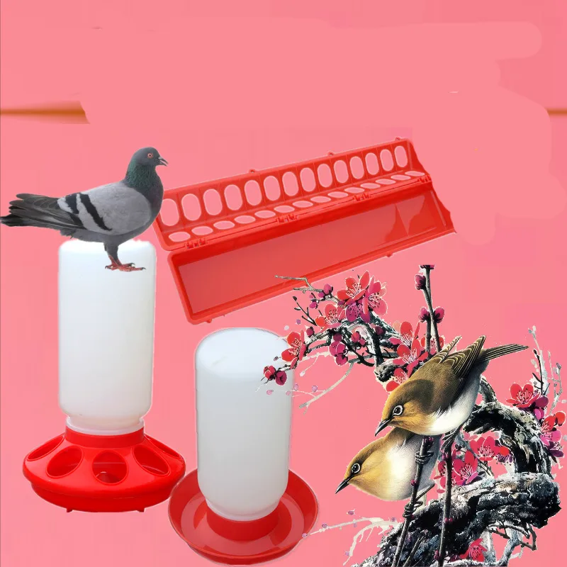 The Bird Feeds The Water Bottle To The Pigeon With A Waterer