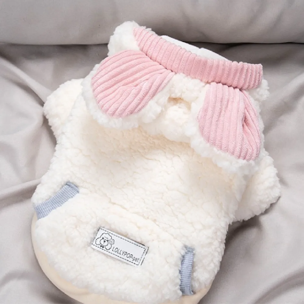 Fashion Personalized Thickened PET Polyester Clothes