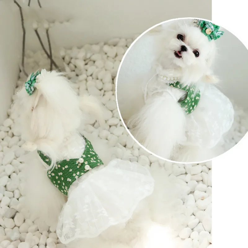 Pet Dog Pure White Princess Spring and Summer Lace Wedding Dress Pettiskirt