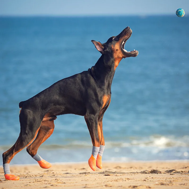 Pet Outdoor Sports Shoes With Anti Slip Biomimetic Stripes