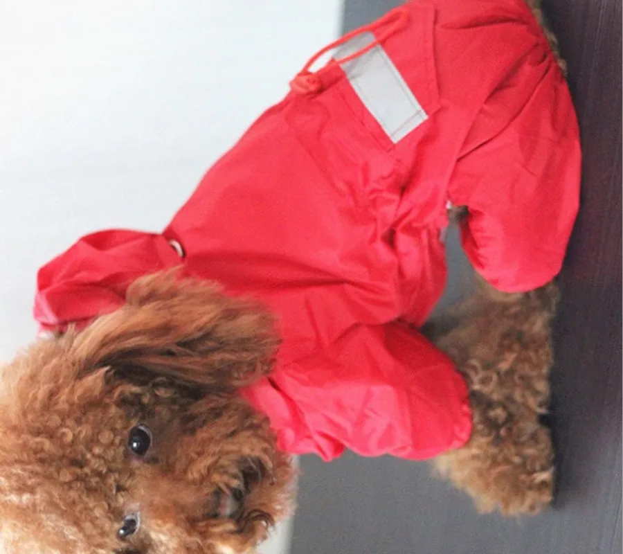 Rainproof windproof pet rain clothes