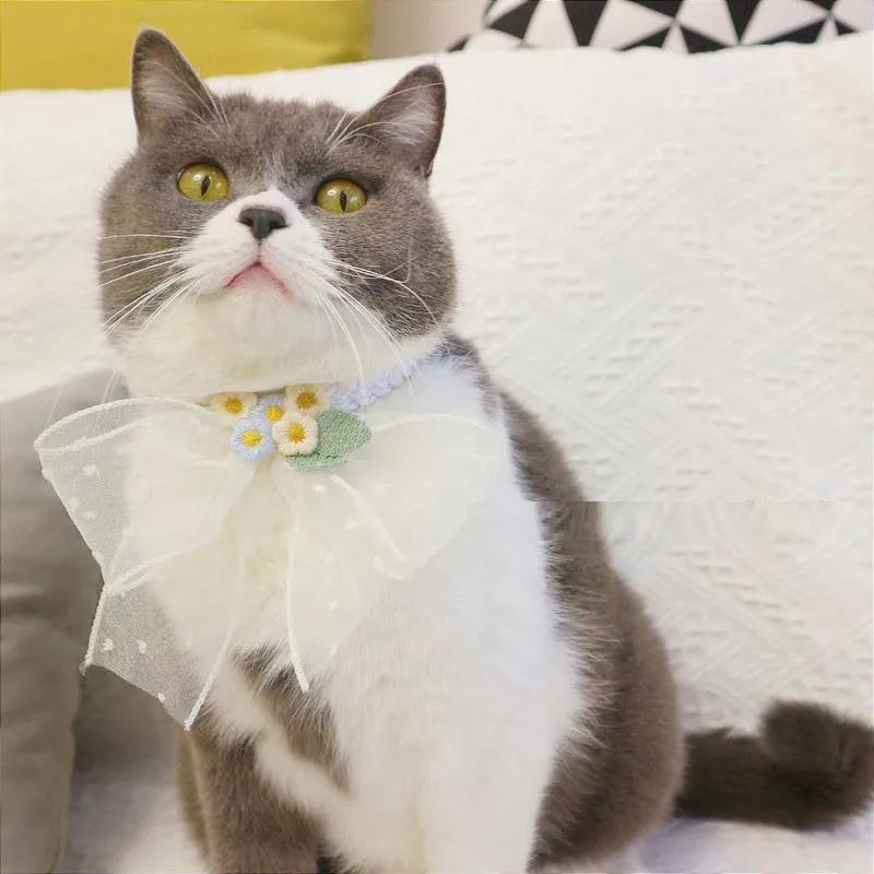 Pet Original Small Dog Necklace Bow Jewelry