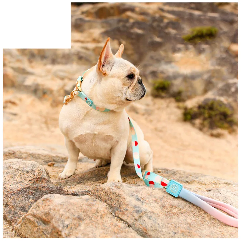 Fashion Y-shaped Chest Strap Pet Supplies Dog Leash
