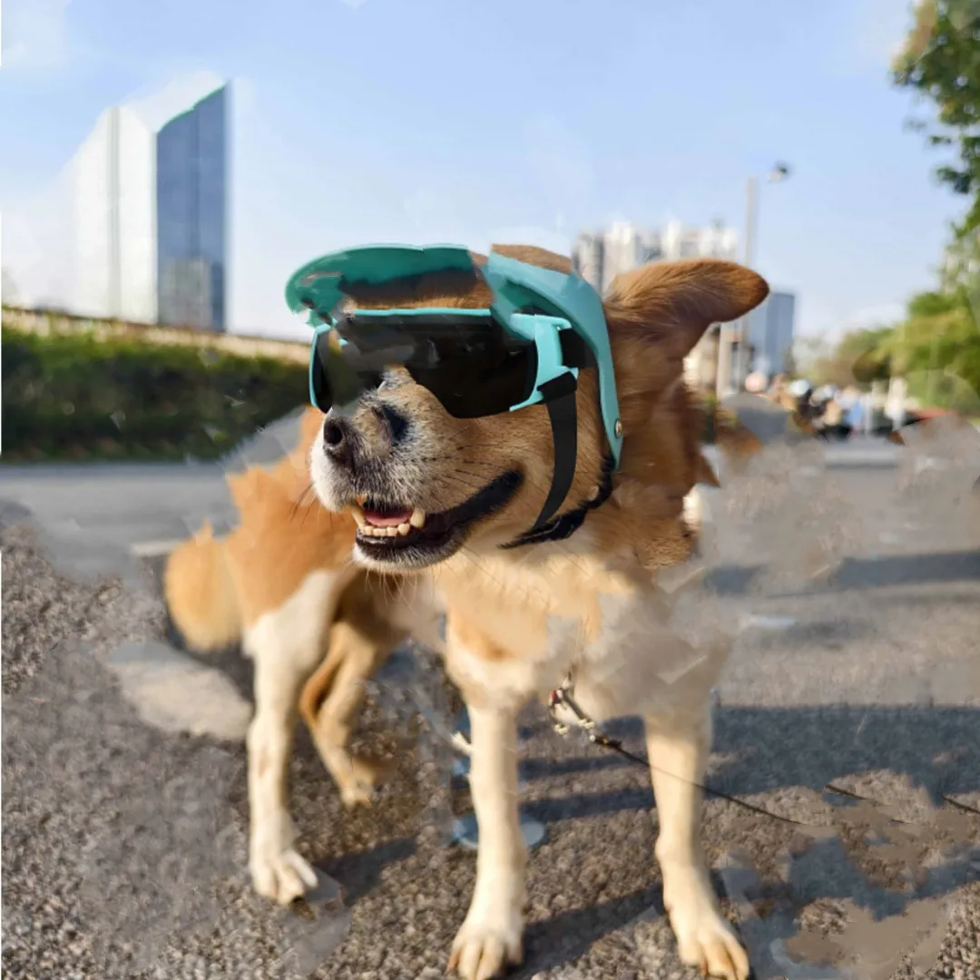 Creative And Versatile Outdoor Sunscreen Pet Accessories Headwear