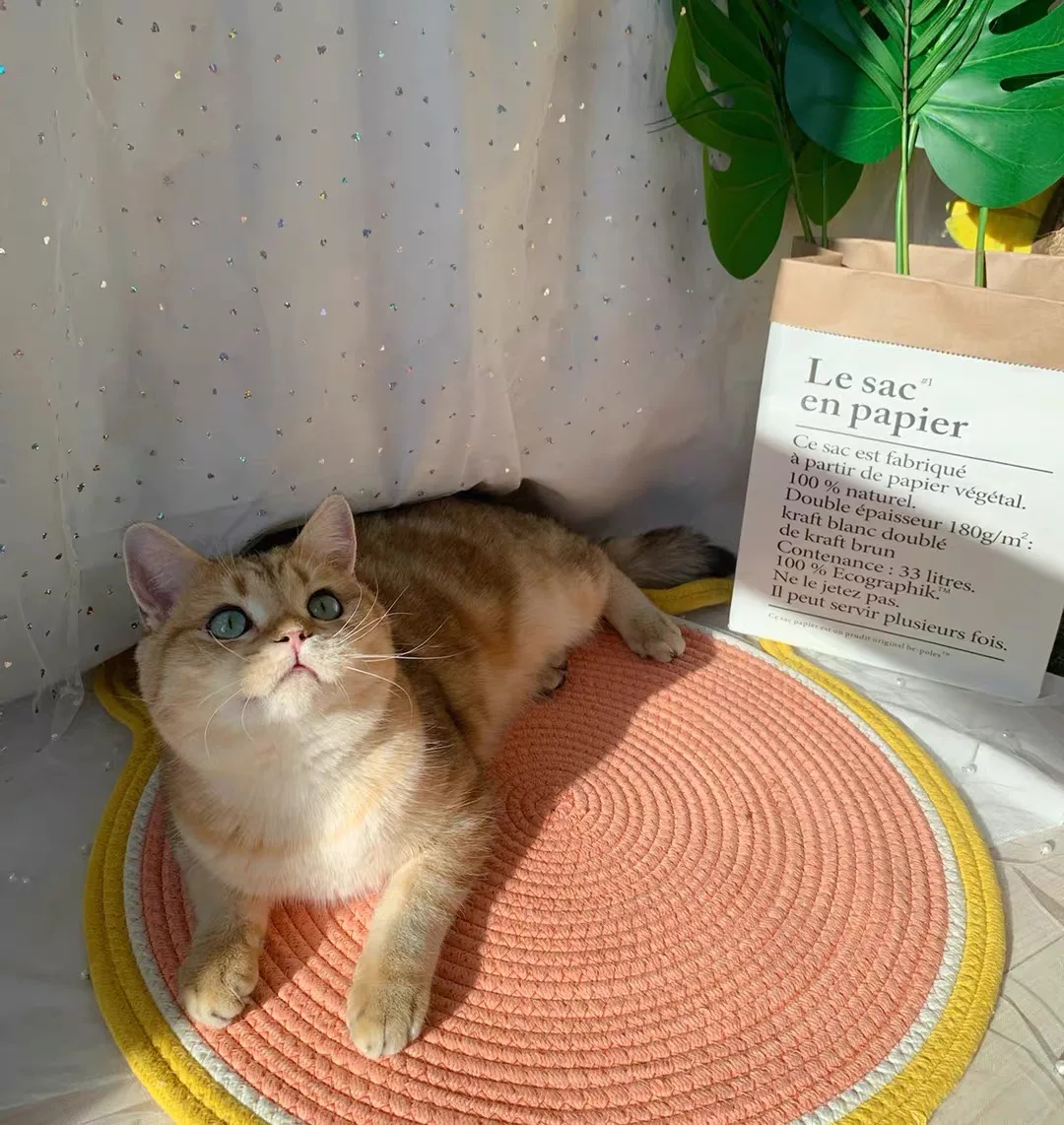 Cat Climbing Frame Sisal Cat Scratching Board Cattery Decoration Cat Paw Toy Cat Jumping Platform