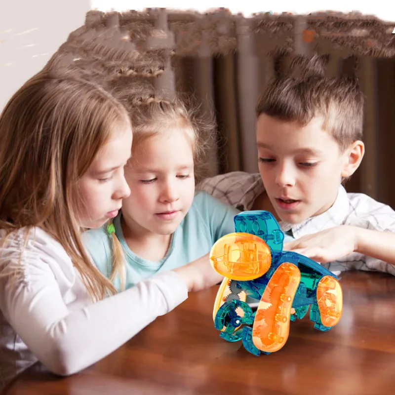 Solar Powered Orangutan Snail Puzzle Boy Gear Machinery
