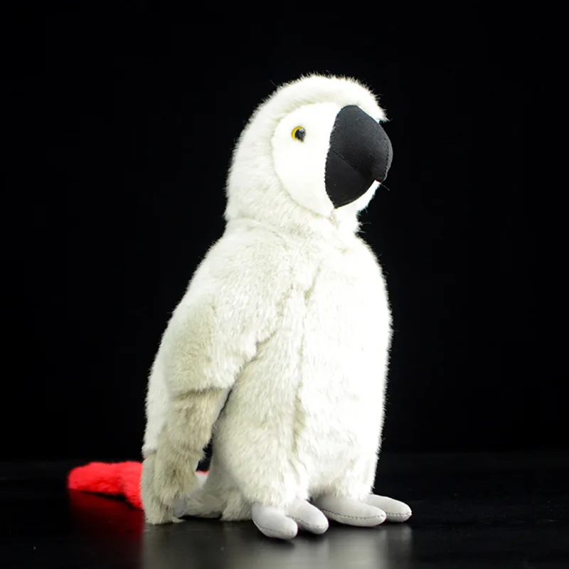 Macaw Squeezes Its Body To Make A Sound
