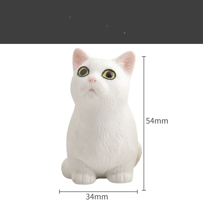 Ceramic cat Tabletop Accessories