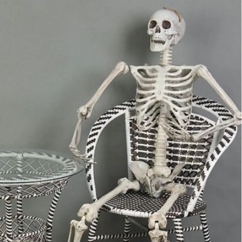 Horror Skull Bone Haunted House Chamber Layout Plastic Props Halloween Skull Skeleton