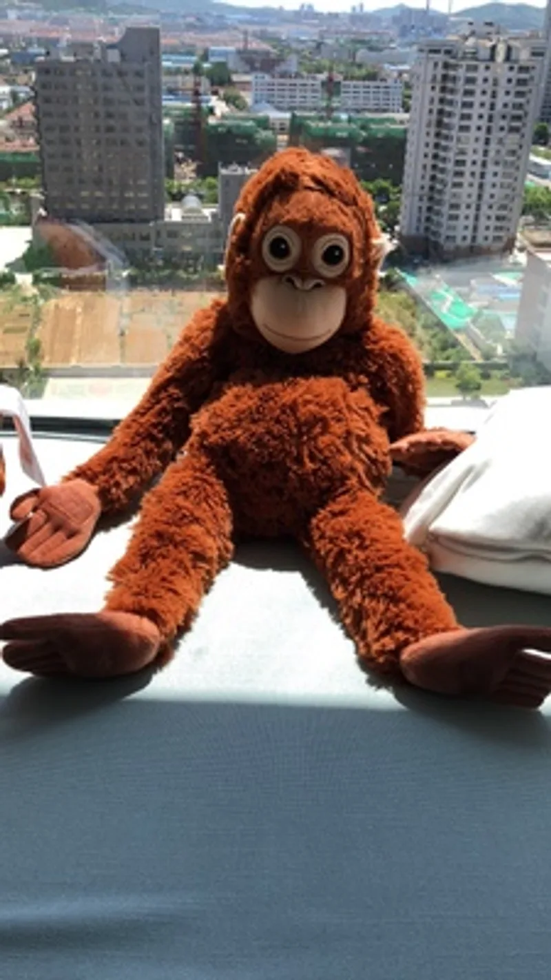 Little Orangutan Plush Doll Gorilla Monkey Baby Bedtime Friend Christmas Gift