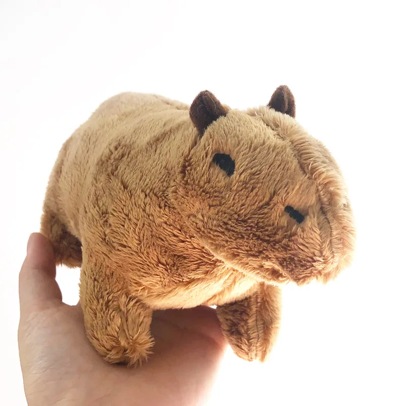 Sleeping With Capy Guinea Pigs And Comforting Plush Dolls